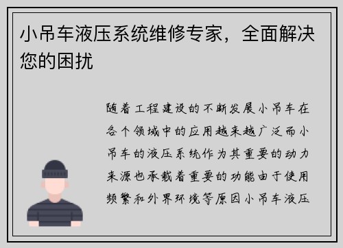 小吊车液压系统维修专家，全面解决您的困扰