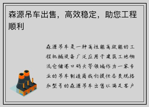 森源吊车出售，高效稳定，助您工程顺利