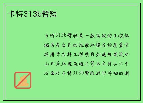 卡特313b臂短