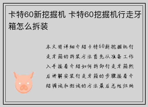 卡特60新挖掘机 卡特60挖掘机行走牙箱怎么拆装