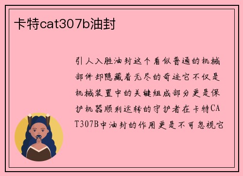 卡特cat307b油封