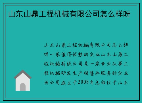 山东山鼎工程机械有限公司怎么样呀
